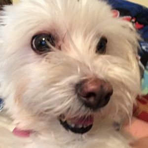 Meet your Posher, Deann